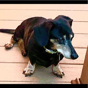 Meet your Posher, Jackie